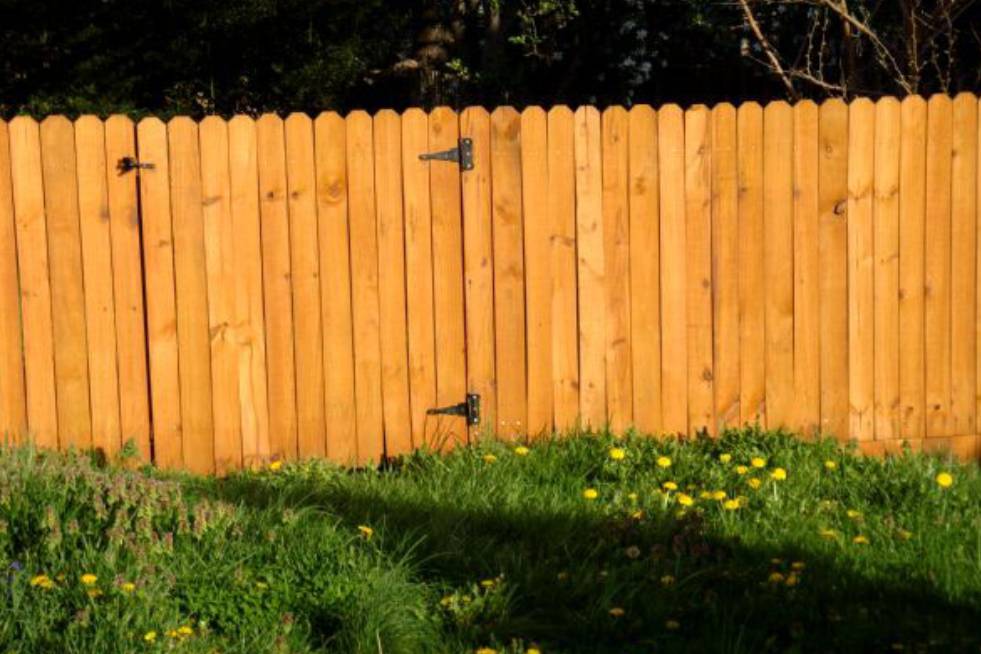 view of the fencing outside house